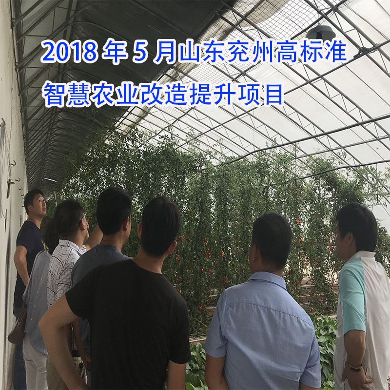 2018年5月山東兗州高標(biāo)準(zhǔn)智慧農(nóng)業(yè)改造提升項目