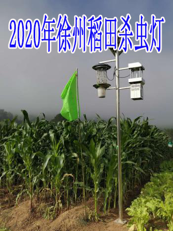 2020年徐州稻田殺蟲(chóng)燈