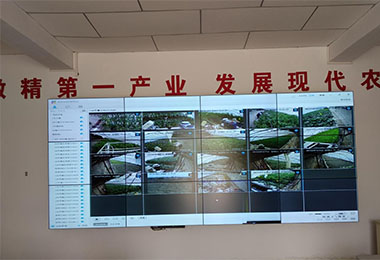 2021甘肅莫高高效節(jié)水農業(yè)產業(yè)園